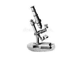 Microscopio compuesto