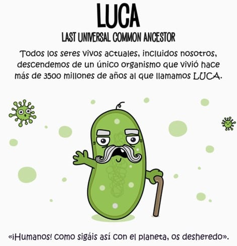 El padre de todos (3600 m.a)