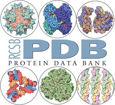 Protein Data Bank (PDB)