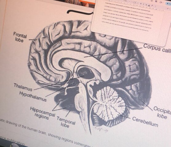Comencé a estudiar Psicología