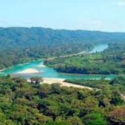 Timeline: TimeLapse: Selva Lacandona