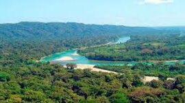 Timeline: TimeLapse: Selva Lacandona