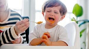 James's Need to Choose His Own Food: Autonomy vs. Shame and Doubt