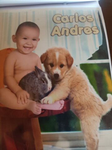 El meu primer contacte amb animals.