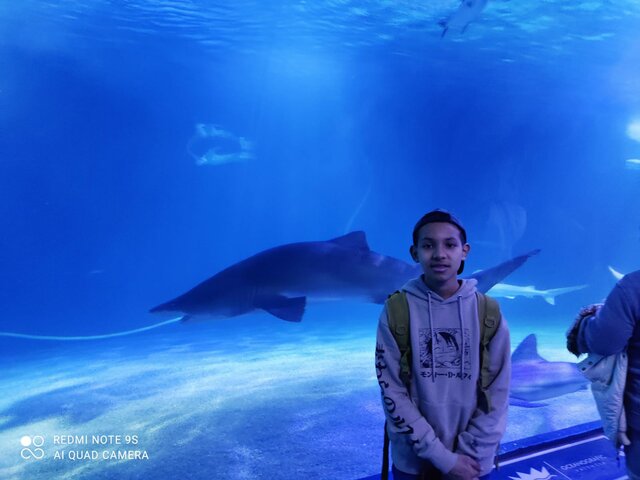 Oceanografic València.