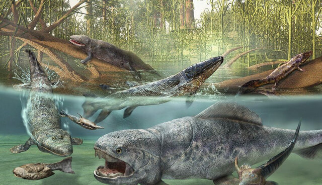 La vida se abre camino: Devónico (419 ma/ 359 ma)