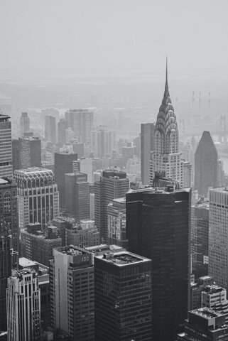 Fitzgerald heads to New York for new beginnings