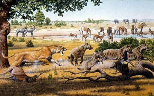 Que elefante mas feo: Neógeno (23 ma/ 2 ma)