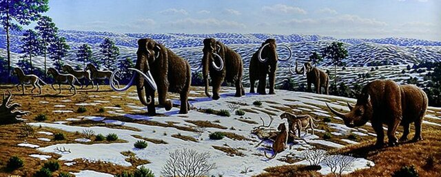 Del frío al calo`: Cuaternario ( 2 ma/ Hoy)