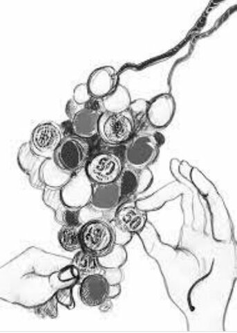 Mutualismo Medellín (Antioquia)