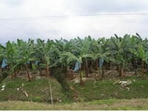 Fortalecimiento de la Economía Social en Ecuador