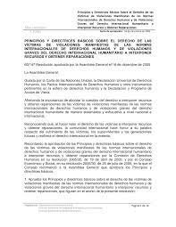 Los Principios y directrices básicos sobre el derecho de las víctimas de violaciones manifiestas de las normas internacionales de derechos humanos y de violaciones graves del derecho internacional humanitario a interponer recursos y obtener reparaciones