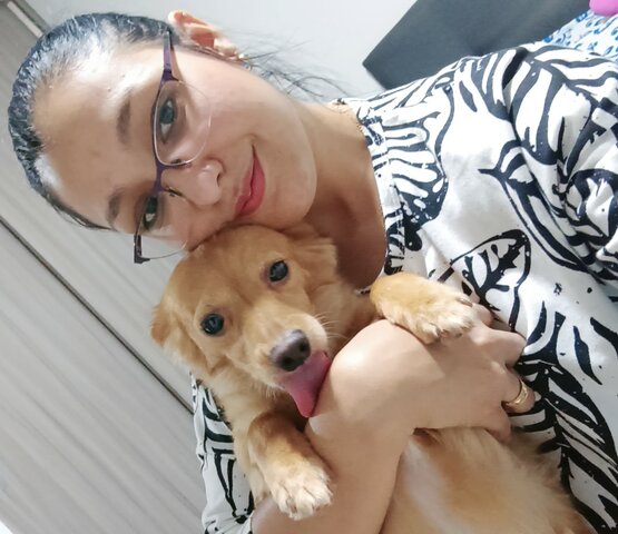 Mis mascotas "Inteligencia naturalista"