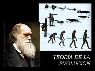 El origen de las especies: Charles Darwin