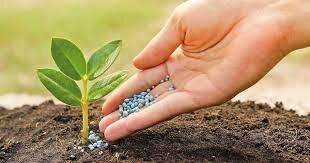 FERTILITZANTS QUÍMICS