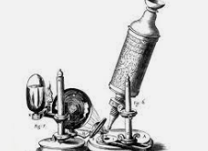 El microscopio compuesto