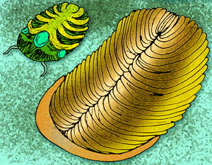 Fin del Supereón Precámbrico.