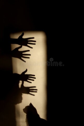 Teoría de la visión.