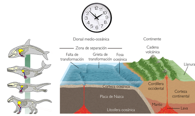Mediciones basadas en nuevas teorías (S.XIX)