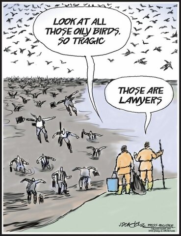 Deepwater Horizon Oil Spill