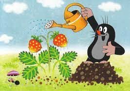 A Kisvakond mint kertész