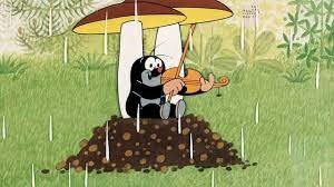 A Kisvakond és a gombák