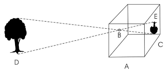 Uso de la cámara oscura