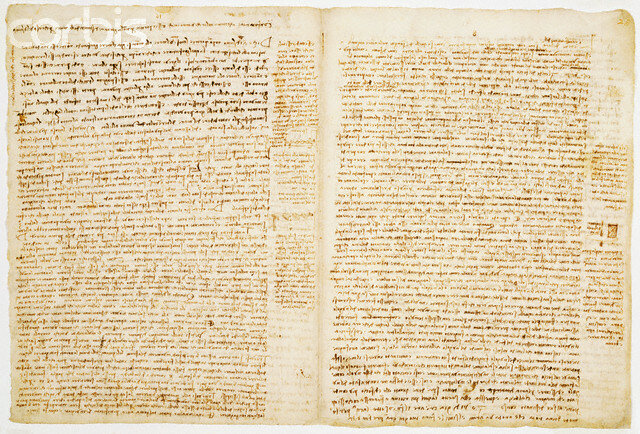 Leonardo da Vinci, paleontologó