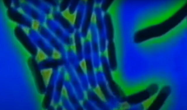 1.700 millones de años