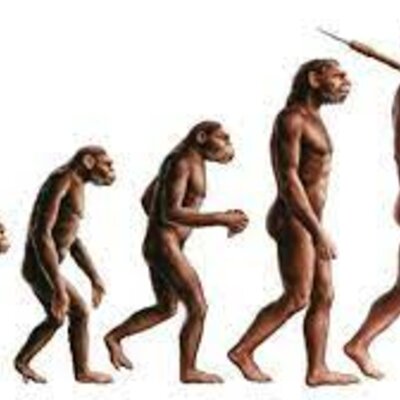 Timeline: La evolución humana
