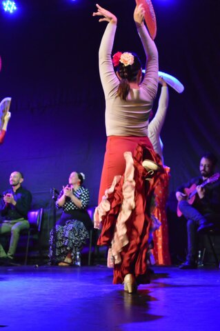 Presentación de Flamenco