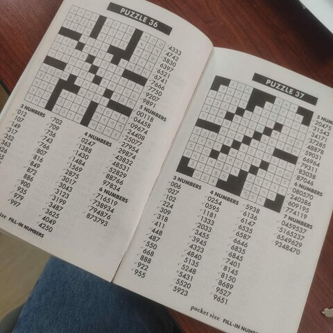 Desarrollo de Puzzles "Fill-In Numbers"