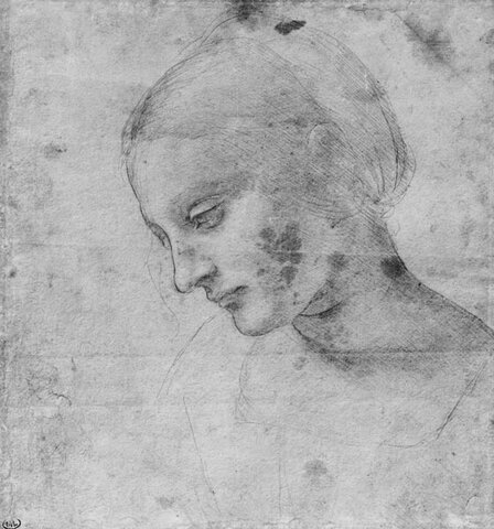 Head of a Young Woman
