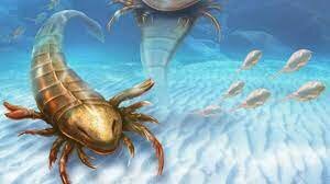 Paleozoico Siluriano(443,8 milhões de anos atrás até 419,2 milhões de anos atrás)