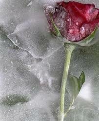 Soneto XXIII “En tanto que de rosa y azucena”