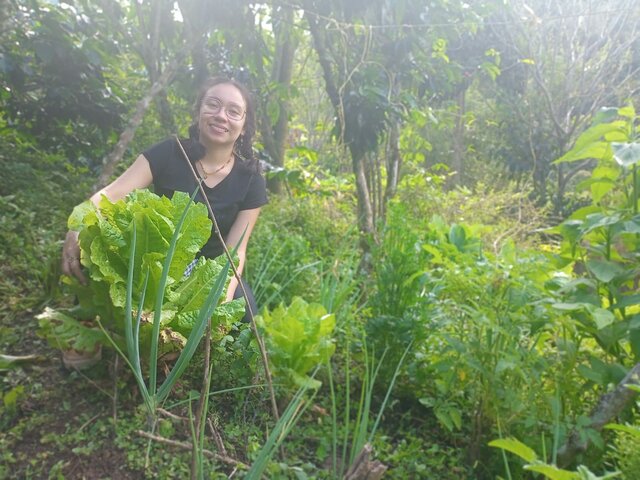 Inteligencia naturalista