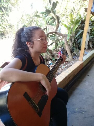 Inteligencia músical