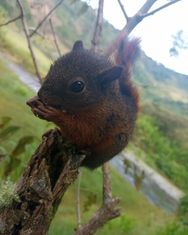Inteligencia espacial