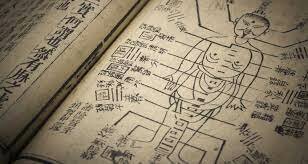 Terapias de medicina tradicional China