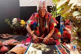 Plantas medicinales Incas