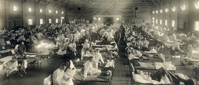 Spanish flu