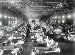 The Spanish Flu