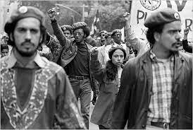 Young Lords Organization