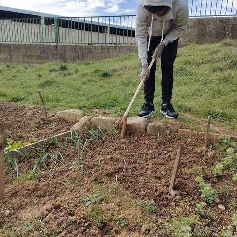 LIMPIEZA DE MALAS HIERBAS