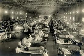 The Spanish Flu
