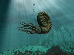 Período Ordoviciano (bichos aquaticos)