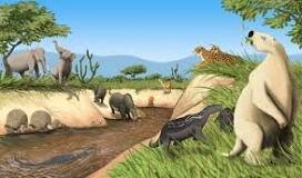 Período Quaternário (mamutes <3 e a gente também)