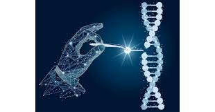 Modificacion genetica