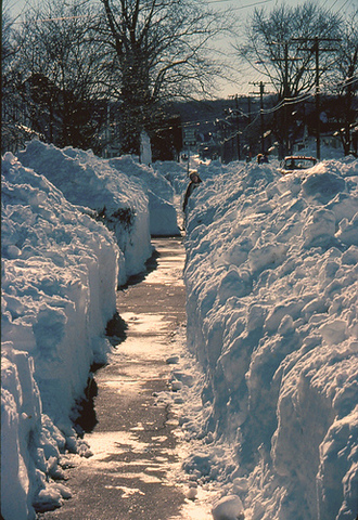 Blizzard Baby: Born Jan. 20th, 1978