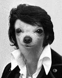 Historia del hombre que se convirtió en perro